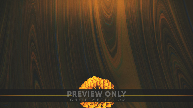 Spring_Mix-Upcoming_WIDE-CONTENT-3#preset=tg_alt3.jpg