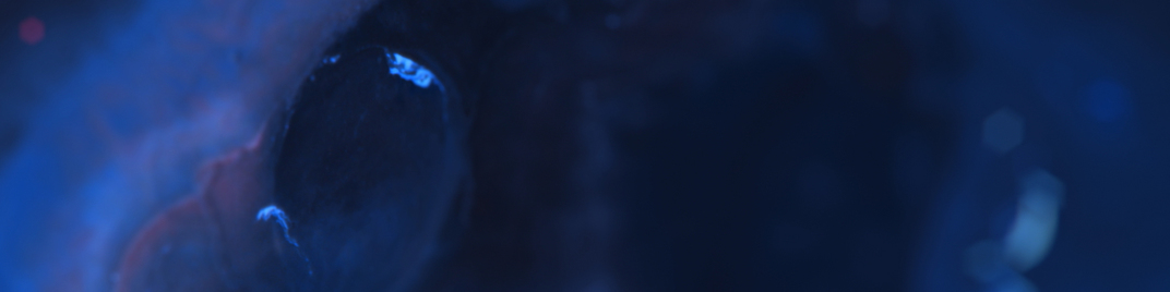 Space_1920x480.jpg