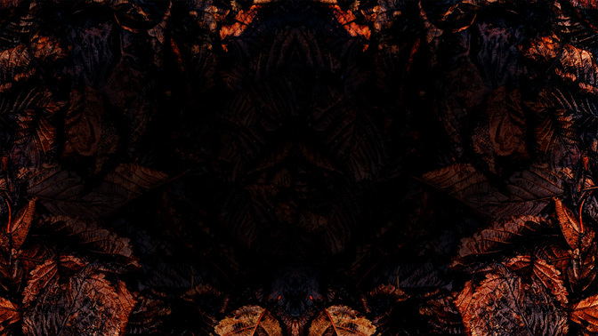 FallBack-WIDE#preset=tg_alt2.jpg