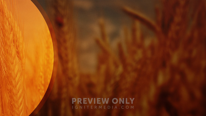 Thanksgiving_16x9-TITLE-3#preset=tg_title3.jpg