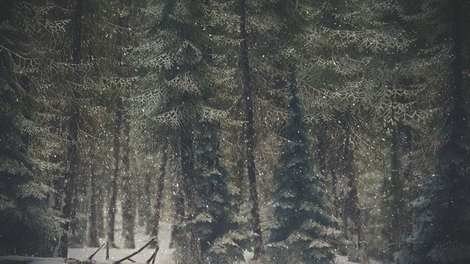 winter wonderland 1