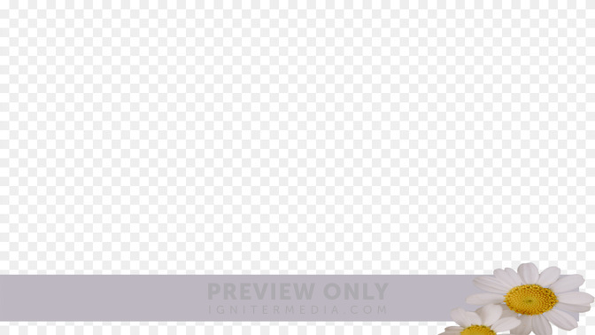 Floral_Details_Floral_Details_L3_TH_Events_WIDE#preset=tg_transparent_png_preview.jpg