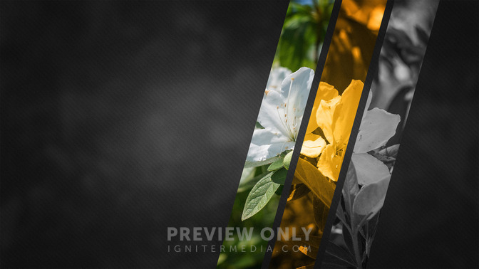 Angled_Panels_-_Thanks_for_Coming_16x9-TITLE-3#preset=tg_title3.jpg