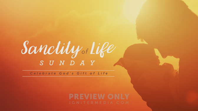 sanctity of life sunday