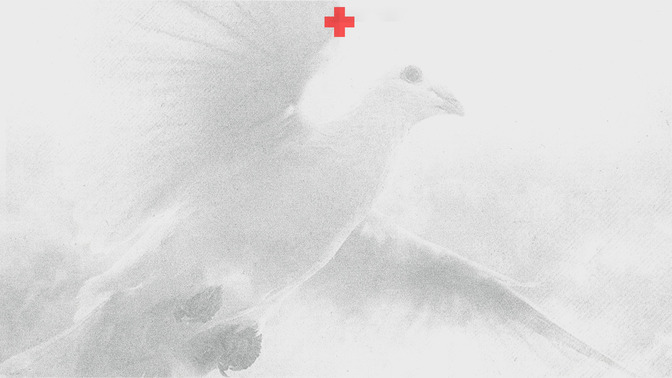 Freely_Given_16x9-CONTENT-3#preset=tg_alt3.jpg