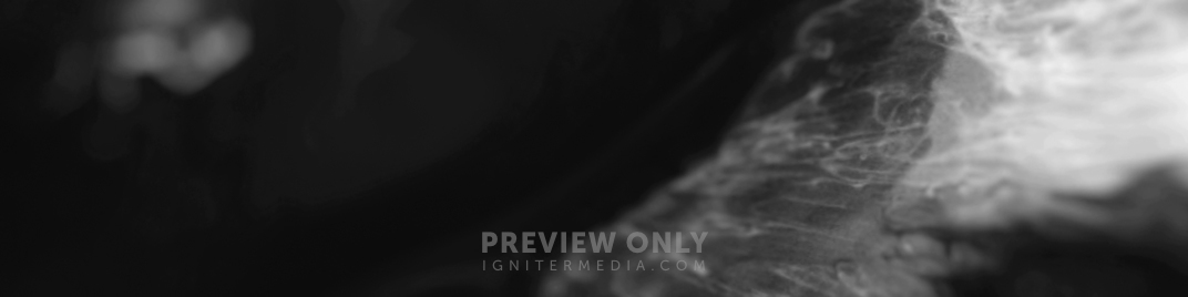 Mind_1920x480_BW.jpg