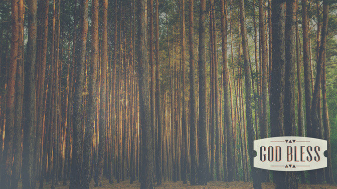 Forest_Morning_-_God_Bless_16x9-CONTENT-2#preset=tg_alt2.jpg