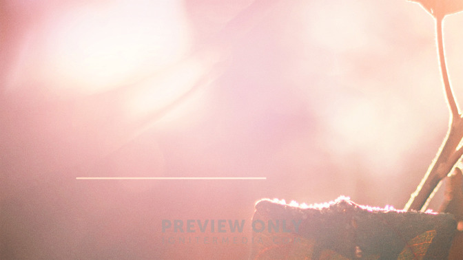 Light_of_the_Morning_16x9-TITLE-3#preset=tg_title3.jpg
