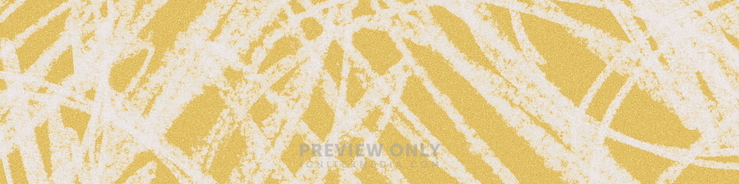 New_Year_Vision_WB_02_UW_SD.jpg