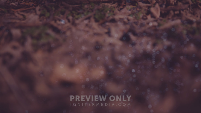 Follow_16x9-BACKGROUND#preset=tg_bg.jpg