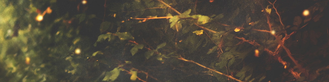 light - foliage