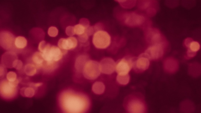 Bush_Bokeh_Pink_HD.jpg