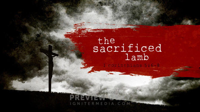 The_Sacrificed_Lamb_16x9-TITLE-1#preset=tg_title1.jpg