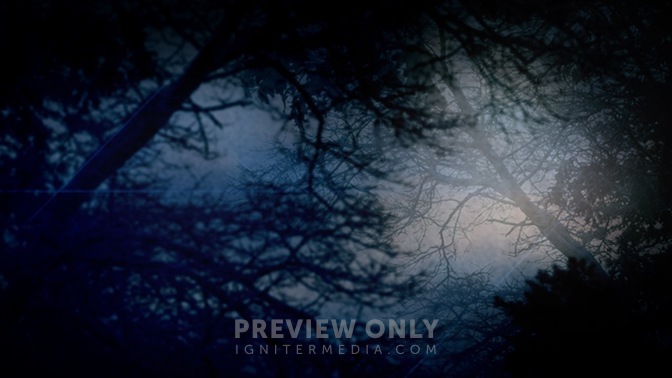 Nature_Dusk_Blue_16x9.jpg