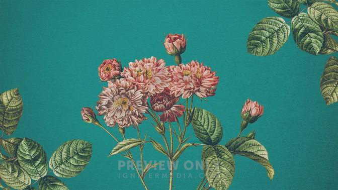 Mothers-Day-Offering-WIDE#preset=tg_title3.jpg