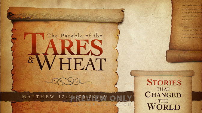 the parable of the tares & wheat