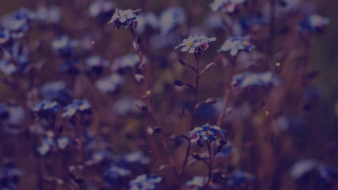 Descansando_en_la_Sombra_del_Todopoderoso_16x9-BACKGROUND#preset=tg_bg.jpg