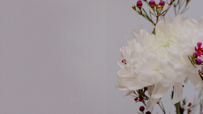 Floral_Details_Floral_Details_TT3_Offering_WIDE#preset=tg_title3.jpg