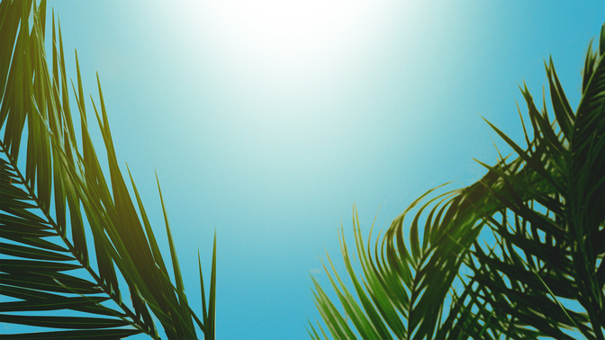 PalmSundayWelcome_WIDE-#preset=tg_title3.jpg