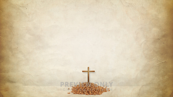 Semillas_de_Resurreccin_16x9-BACKGROUND#preset=tg_bg.jpg
