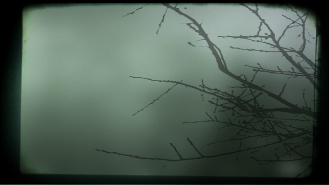 branch 1