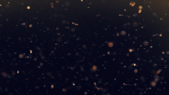 glitter