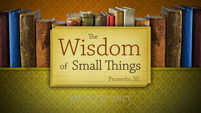 The_Wisdom_of_Small_Things_16x9-TITLE-1#preset=tg_title1.jpg