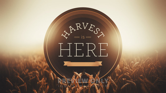Harvest_Is_Here_WIDE-TITLE-2#preset=tg_title2.jpg