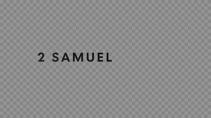 testament textures - 2 samuel