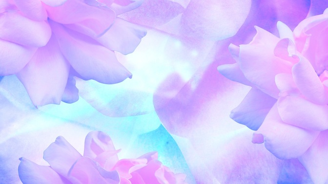 large flower purple