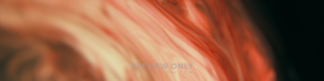 Reality_1920x480.jpg