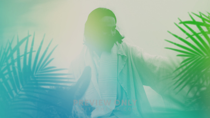 Palm-Welcome-WIDE#preset=tg_title3.jpg