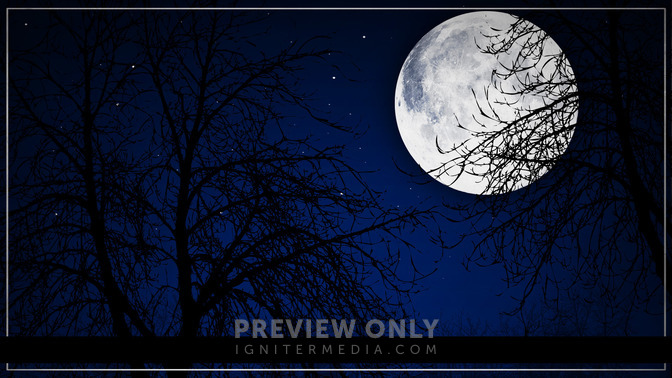 The_Darkness_of_Betrayal_16x9-TITLE-3#preset=tg_title3.jpg