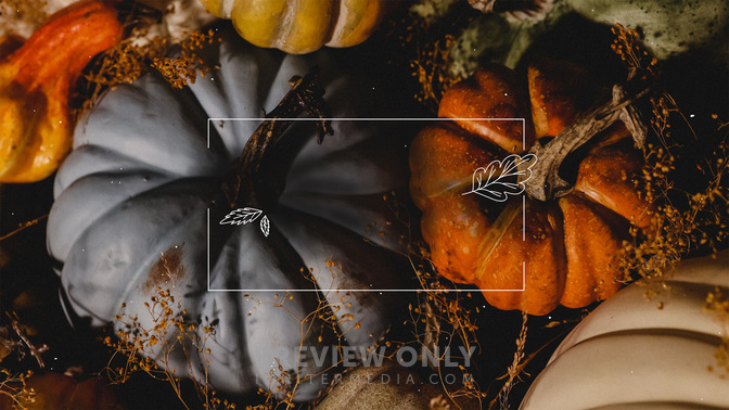 Festival-FallStyle-MASTER-WIDE#preset=tg_title3.jpg