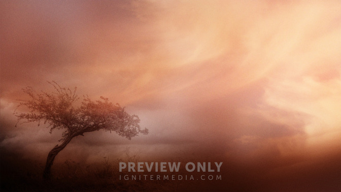 Glory_In_Tribulation_16x9-CONTENT-3#preset=tg_alt3.jpg