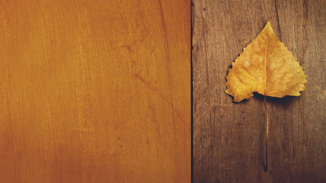Amber_Leaf_-_God_Bless_16x9-TITLE-3#preset=tg_title3.jpg