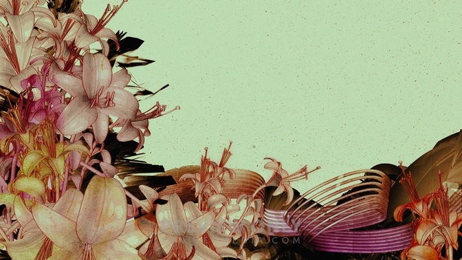 Traced_Flowers1_16x9.jpg