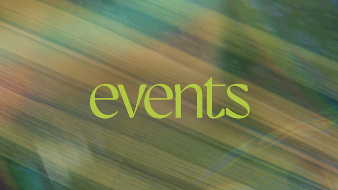 Easter Textures_Easter Texture_TT2_Palm_Events_WIDE#preset=tg_title2.jpg