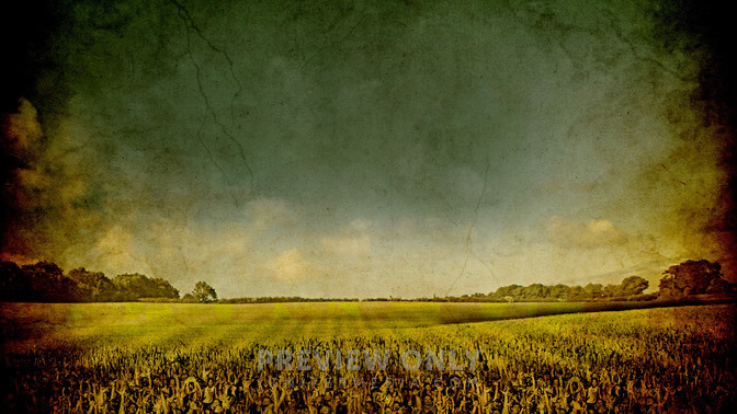 Cosecha_16x9-CONTENT-3#preset=tg_alt3.jpg