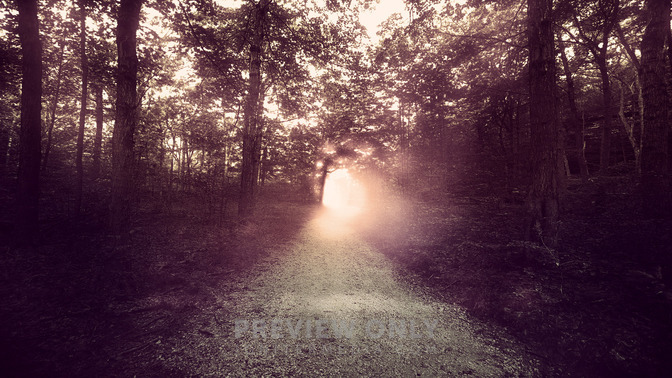 Light_Walkers_16x9-TITLE-3#preset=tg_title3.jpg