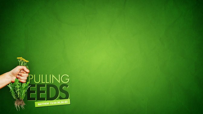 Pulling_Weeds_16x9-CONTENT-1#preset=tg_alt1.jpg