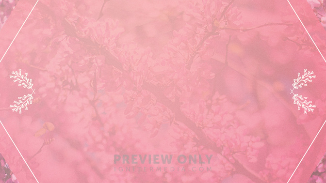 Hes_Alive_WIDE-BACKGROUND#preset=tg_bg.jpg