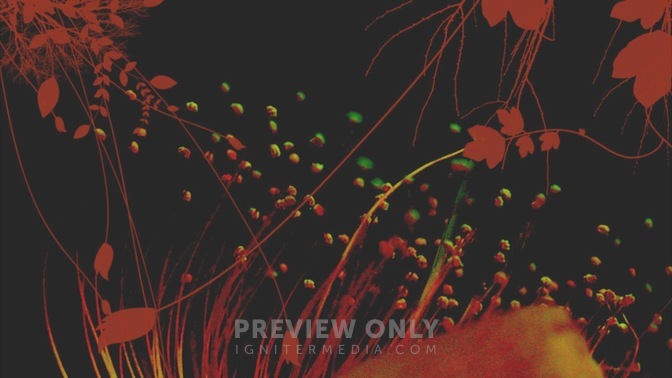 Plants_4_16x9.jpg