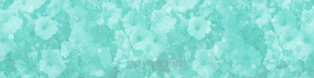 Blue_Flowers_MS_1920x480.jpg