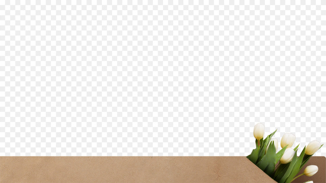 L3_TH_Spring_Forward_WIDE#preset=tg_transparent_png_preview.jpg