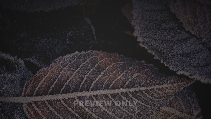 Winter_Woods_-_Upcoming_Events_16x9-BACKGROUND#preset=tg_bg.jpg