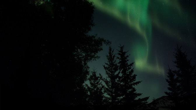 aurora 6