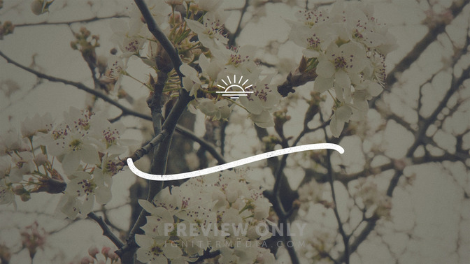 Blossoms_-_Happy_Easter_16x9-TITLE-3#preset=tg_title3.jpg