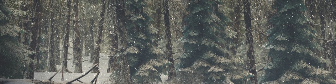 winter wonderland 1