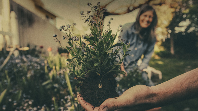 Day_Of_Service_WIDE-TITLE-3#preset=tg_title3.jpg